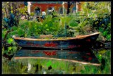 Green Boat Amsterdam